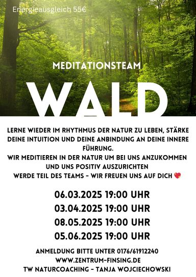 Waldmeditation